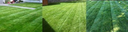 Kamloops Lawn Mowing Kamloops Lawn Mowing