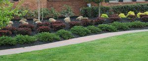 Commercial Landcape Maintenance Services Commercial Landscape Maintenance