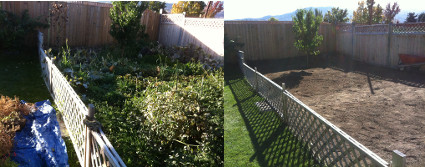 Garden Cleanup Garden Cleanup