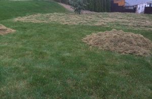 Power Raking Power Raking